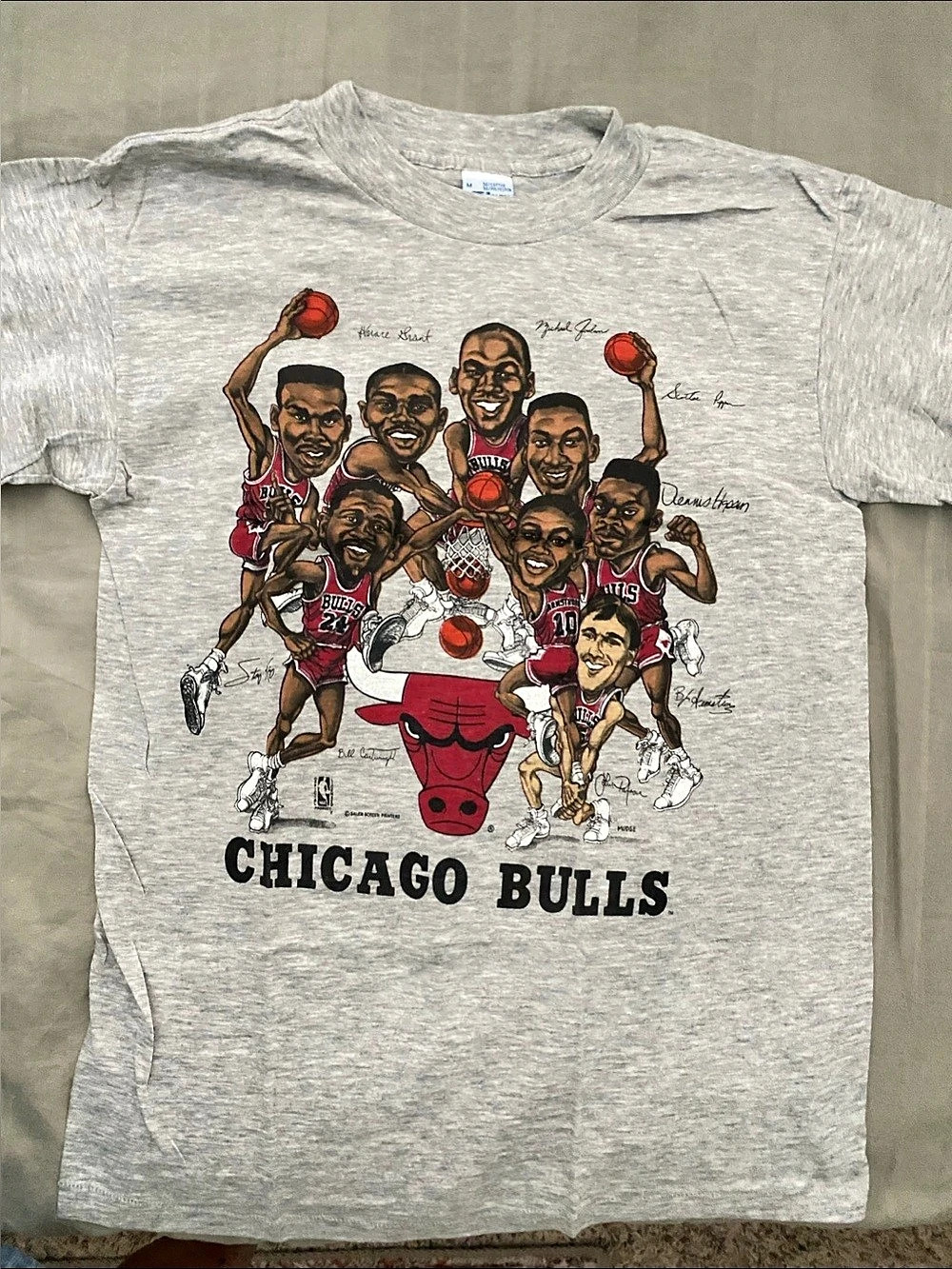 Salem Chicago Bulls Graphic Tee Gray Medium Unisex
